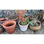 SIX LARGE TERRACOTTA GARDEN PLANTERS, VARIOUS DESIGNS (AVERAGE HEIGHT 40CM).