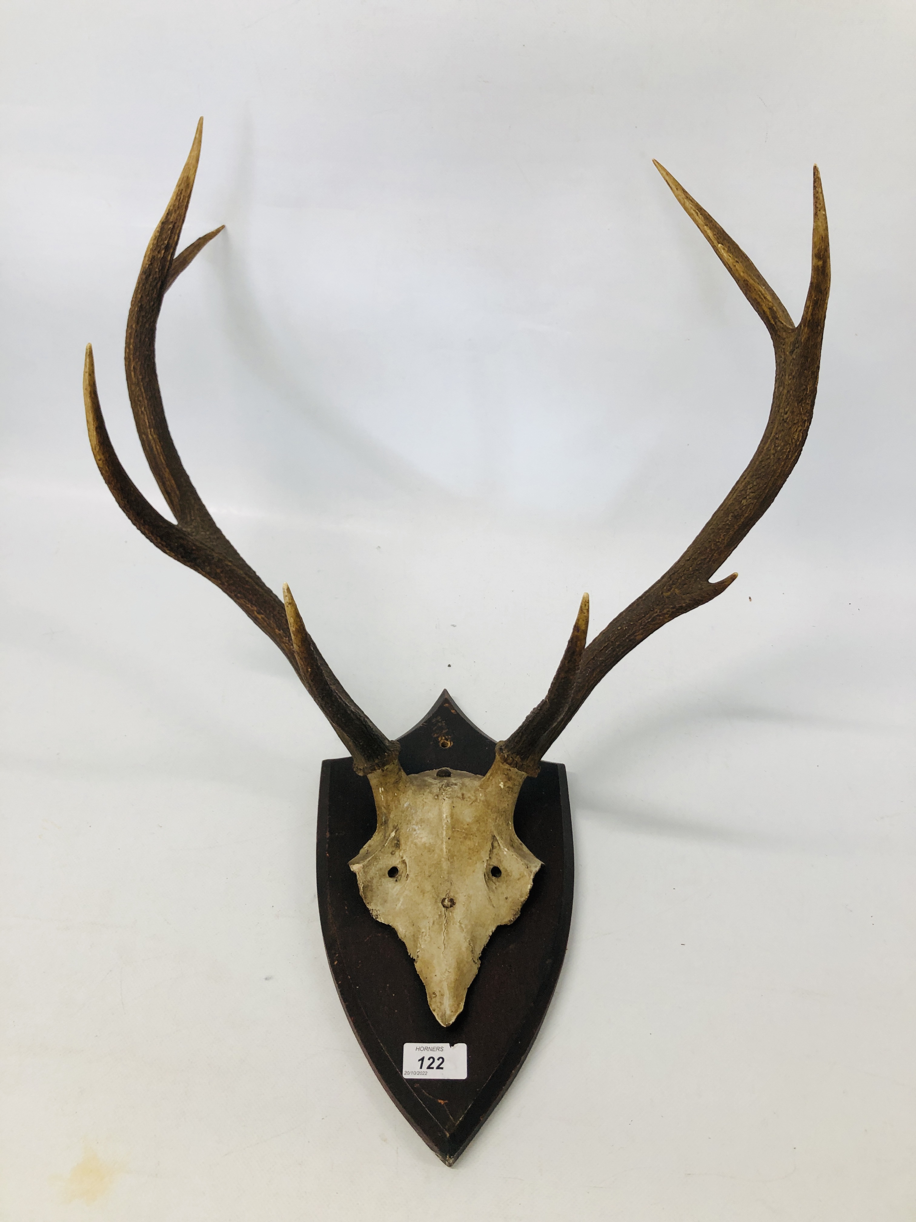 A NINE POINT RED DEER ANTLERS MOUNTED ON SHIELD WALL PLAQUE.