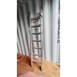 YOUNGMAN 100 COMBINATION STEP/EXTENSION LADDER (SEVEN TREAD)