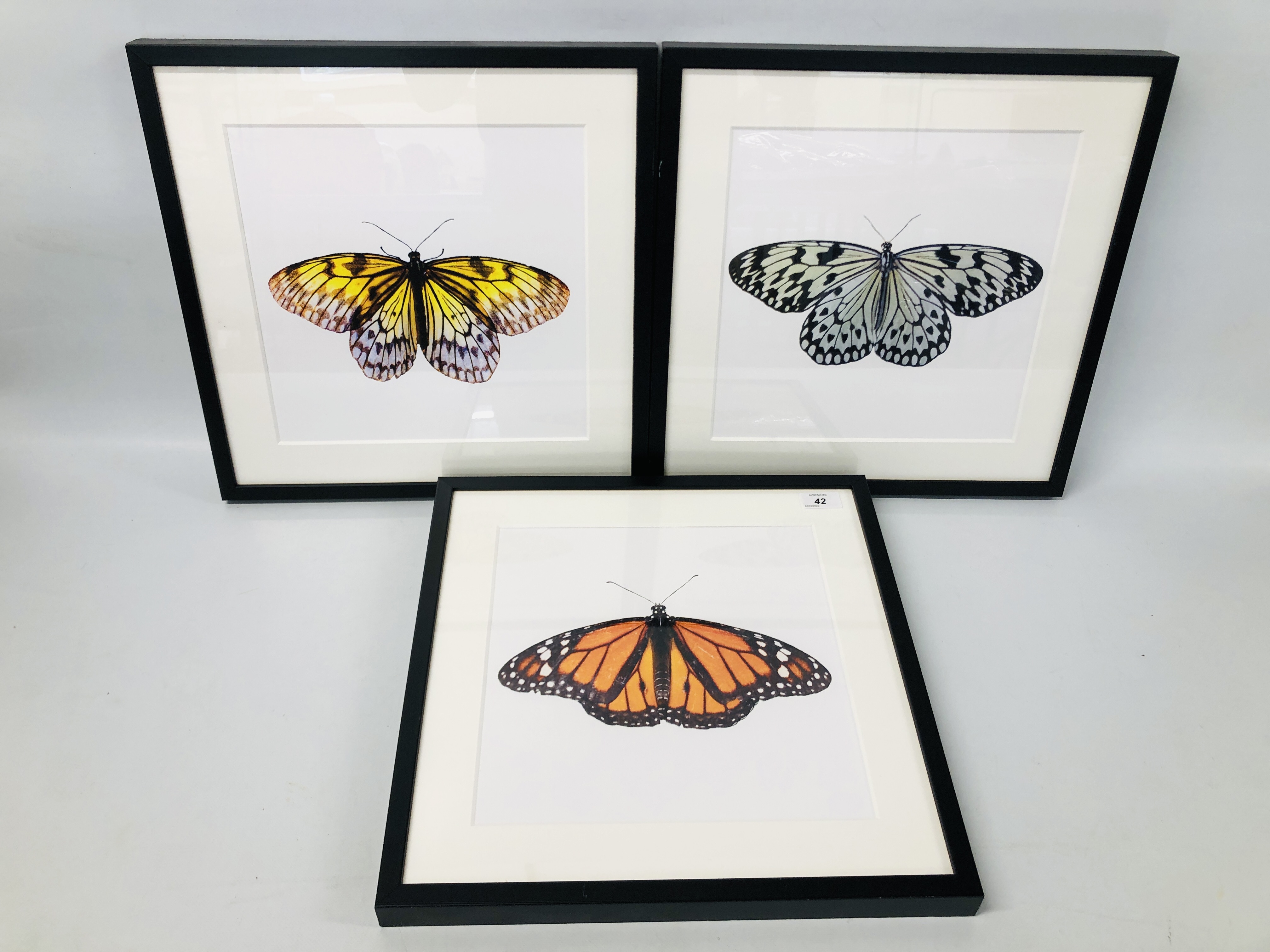 SET OF THREE MODERN FRAMED BUTTERFLY PRINTS "LIMON",