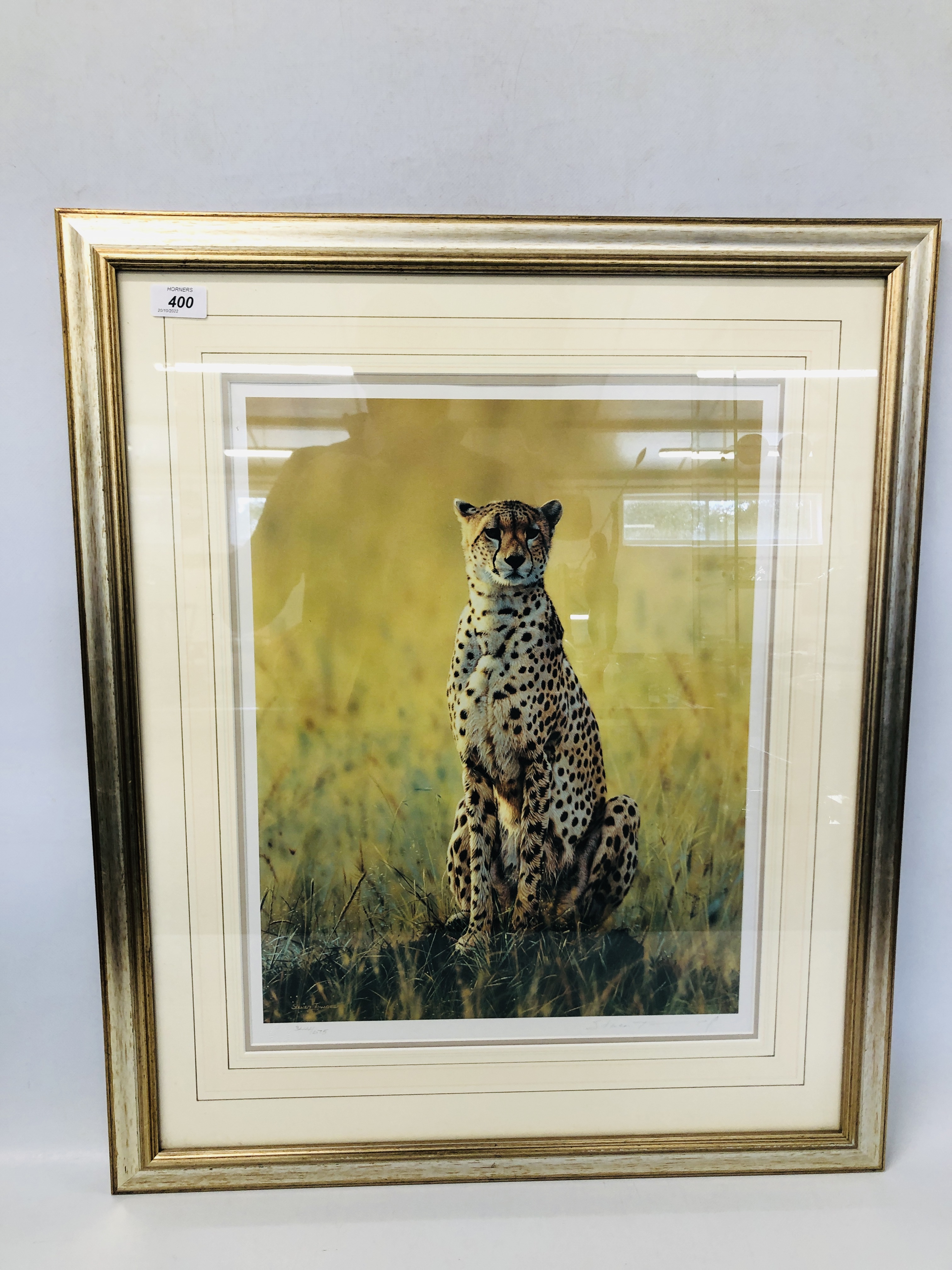 A LIMITED EDITION FRAMED PRINT OF A CHEETAH 344/675 SIGNED STEVEN TOWNSEND.