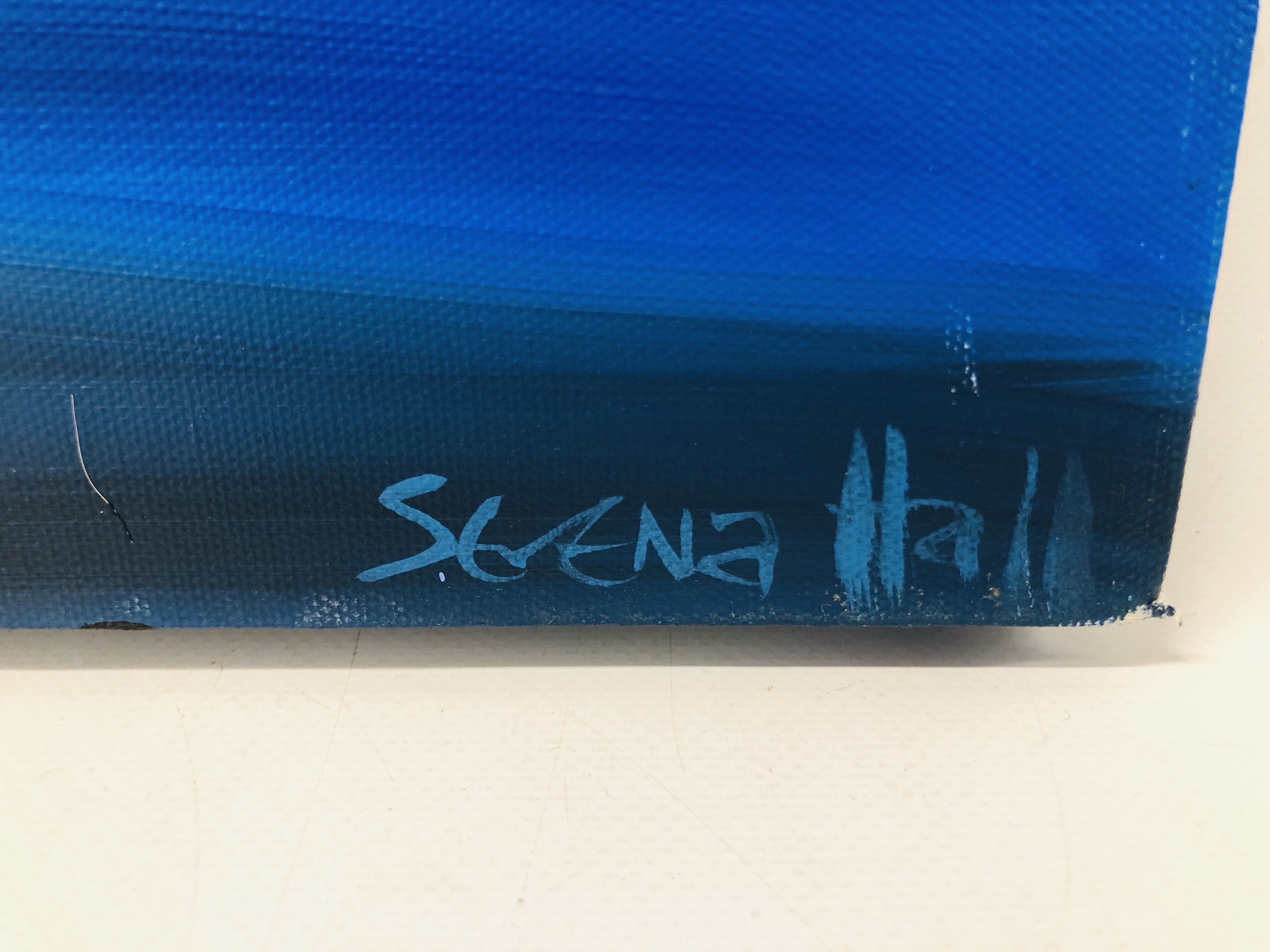 AN ORIGINAL ART WORK OIL ON CANVAS "SEAGULL" BEARING SIGNATURE SERENA HALL, W 41CM X H 51CM. - Image 3 of 3