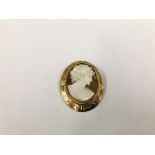 A SHELL CAMEO PENDANT / BROOCH IN 9CT GOLD FRAME.