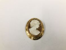 A SHELL CAMEO PENDANT / BROOCH IN 9CT GOLD FRAME.