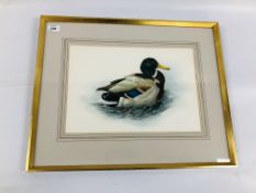 GILT FRAMED WATERCOLOUR "MALLARDS" BEARING SIGNATURE REED 1968 WIDTH 38CM. HEIGHT 26CM.