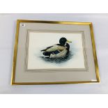 GILT FRAMED WATERCOLOUR "MALLARDS" BEARING SIGNATURE REED 1968 WIDTH 38CM. HEIGHT 26CM.