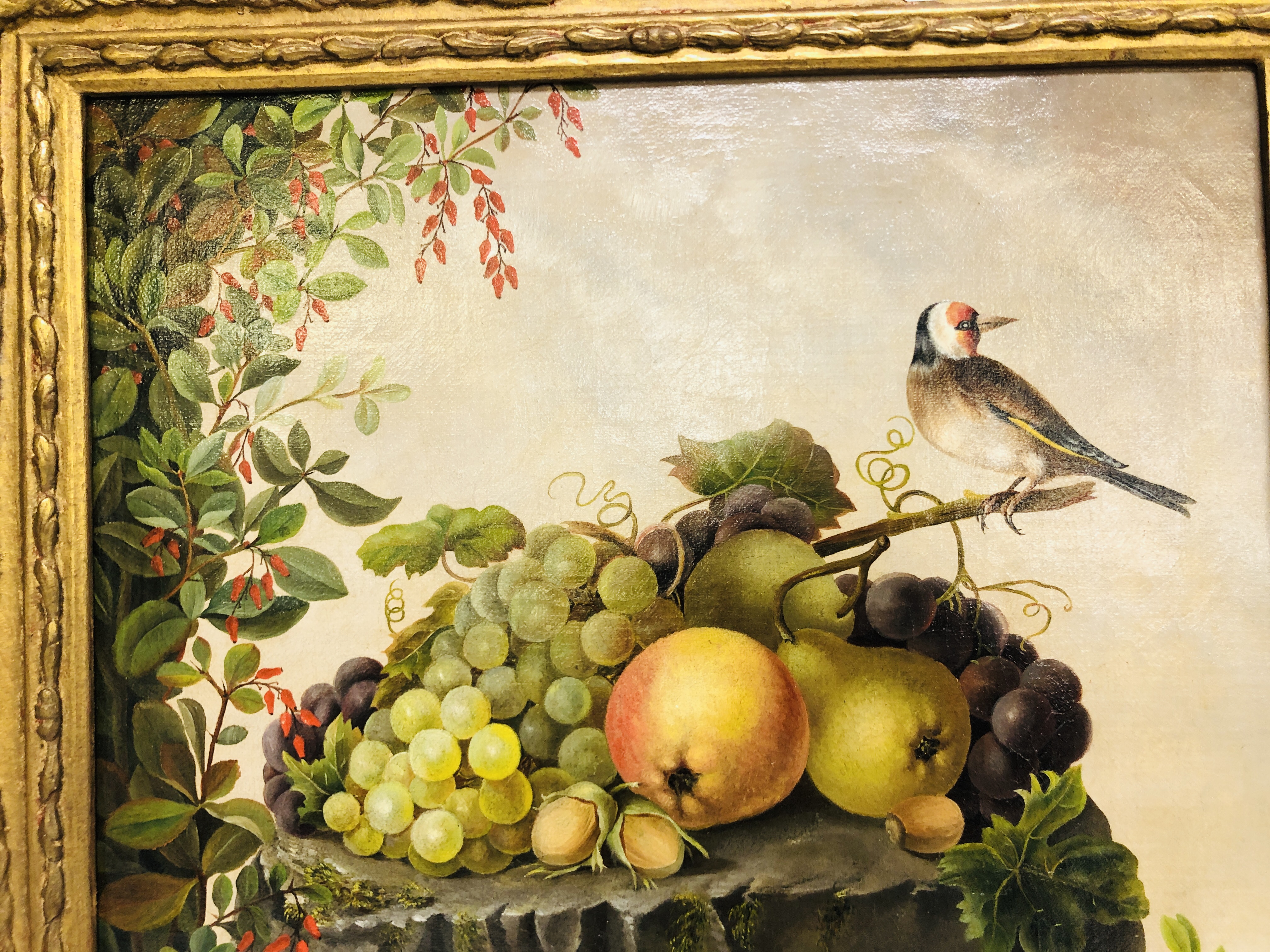ENGLISH SCHOOL CIRCA 1900 "STILL LIFE WITH FRUIT AND FINCH", OIL ON CANVAS 36 X 35CM. - Image 2 of 6
