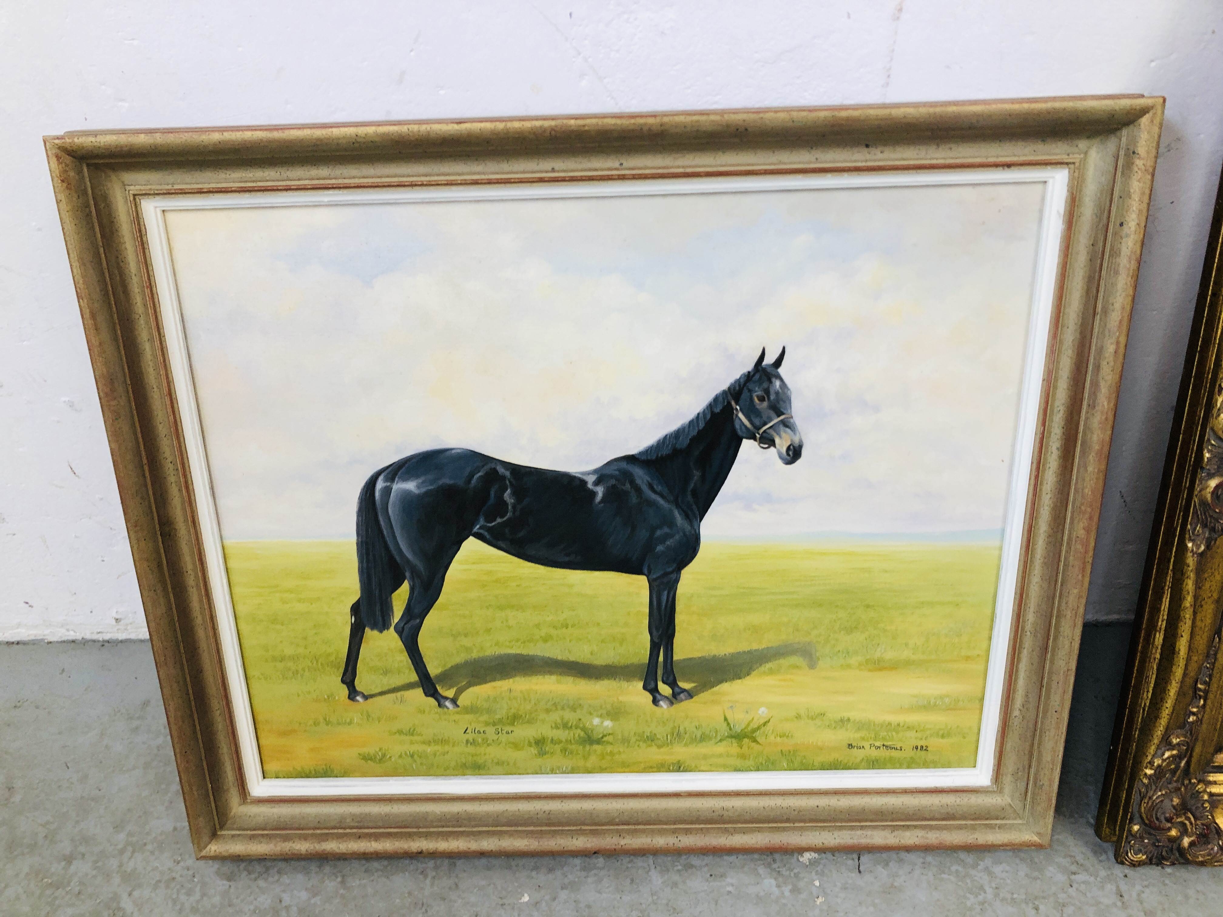 OIL ON CANVAS RACEHORSE "LILAC STAR" BEARING SIGNATURE BRIAN PORTEOUS 1982 38. - Image 6 of 7