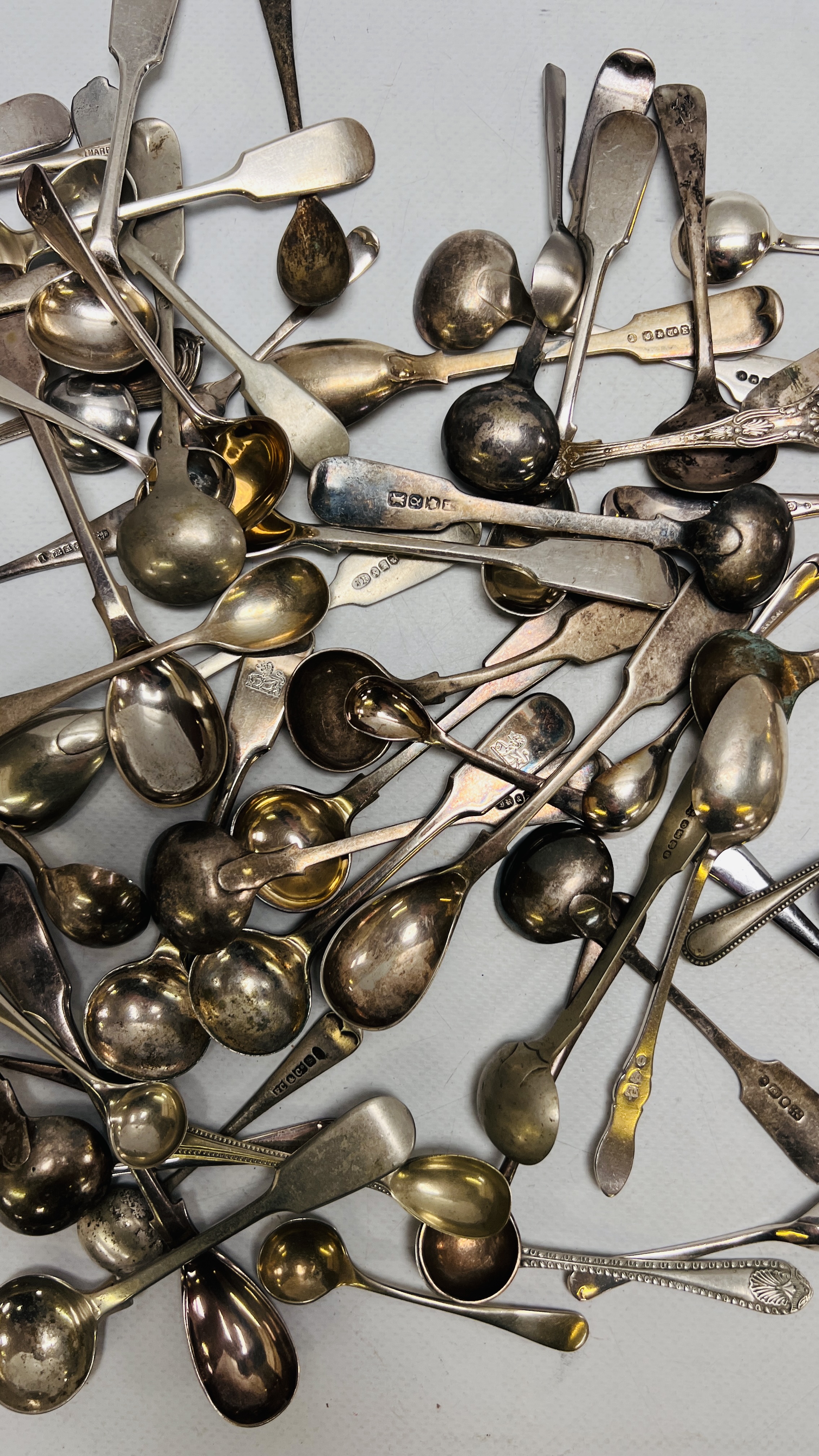 AN EXTENSIVE COLLECTION OF SILVER PLATED SALT AND MUSTARD SPOONS - Image 4 of 9