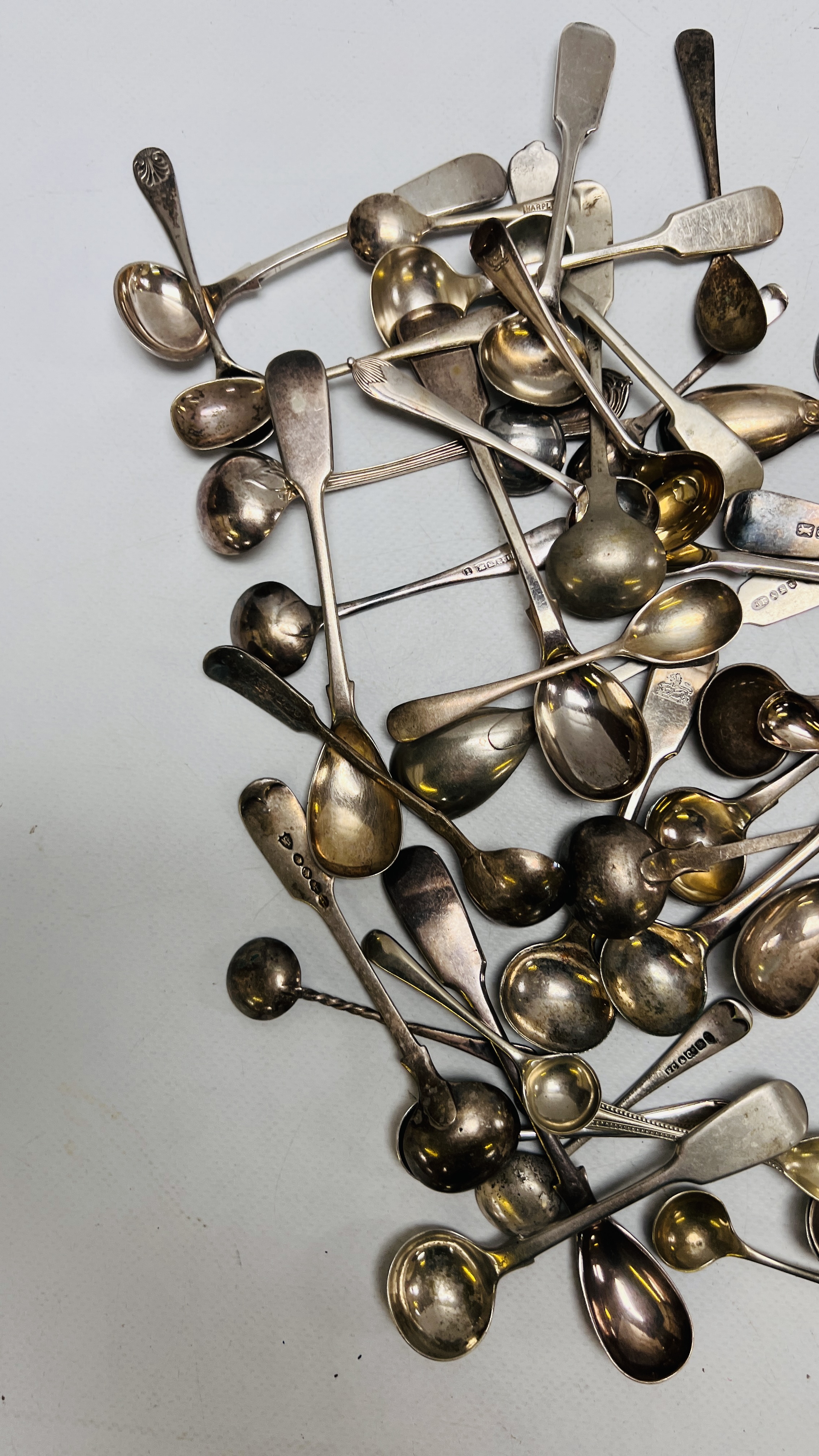 AN EXTENSIVE COLLECTION OF SILVER PLATED SALT AND MUSTARD SPOONS - Image 5 of 9