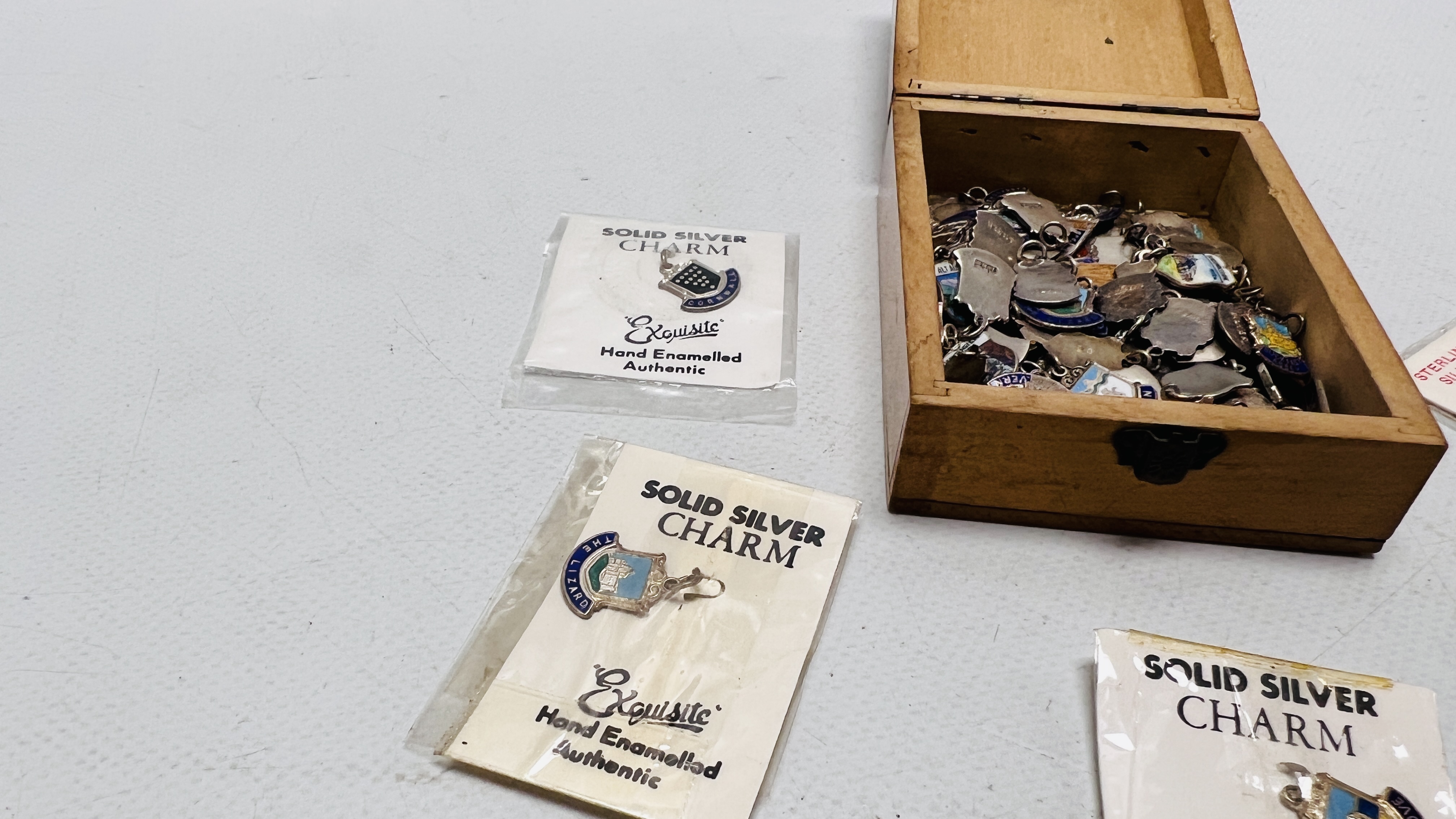 AN EXTENSIVE COLLECTION OF VINTAGE SILVER , WHITE METAL AND ENAMELLED SOUVENIR CHARMS (APPROX. - Image 4 of 6