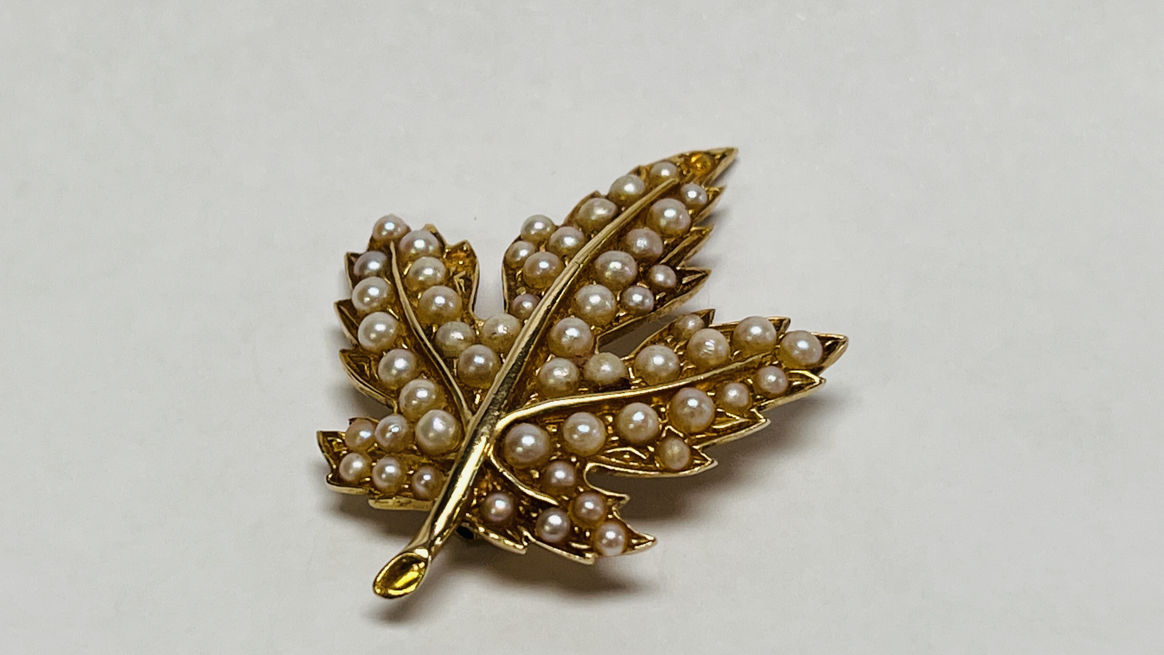 A VINTAGE LEAF BROOCH MARKED 10KT SET WITH MULTIPLE SEED PEARLS (1 MISSING) - Image 4 of 7