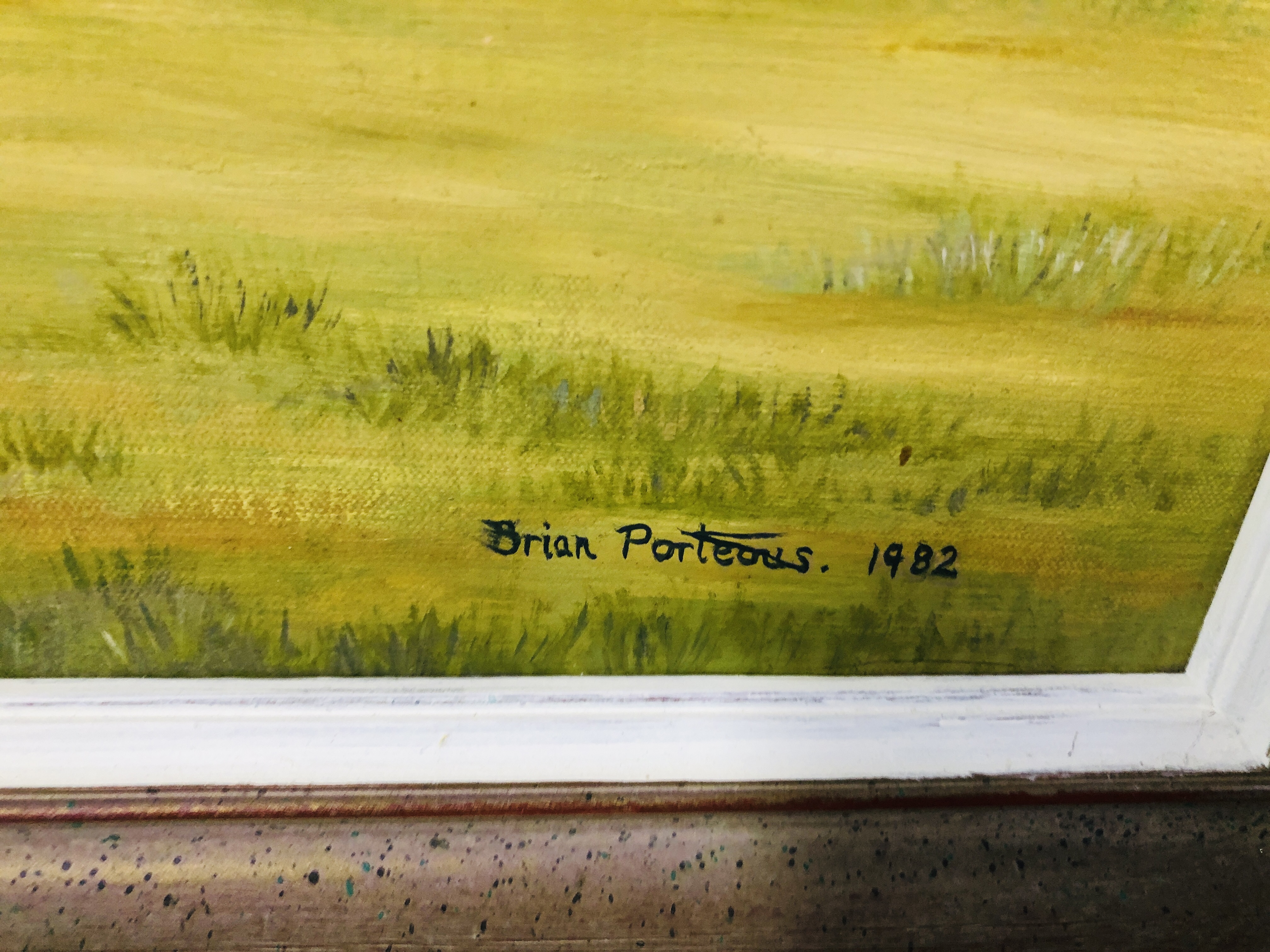 OIL ON CANVAS RACEHORSE "LILAC STAR" BEARING SIGNATURE BRIAN PORTEOUS 1982 38. - Image 7 of 7