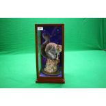 A CASED TAXIDERMY STUDY OF A GREY SQUIRREL ON A WEATHERED LOG HOLDING A PINE CONE (CASE SIZE - W