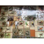 BOX OF MIXED POSTCARDS, BIRDS, LNWR RAILWAY OFFICIALS, 1951 FESTIVAL OF BRITAIN UK VIEWS, HOSPITALS,