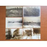 SUFFOLK: LOWESTOFT: RP POSTCARDS WITH WHALE ASHORE, CREW OF SS NAVARA,