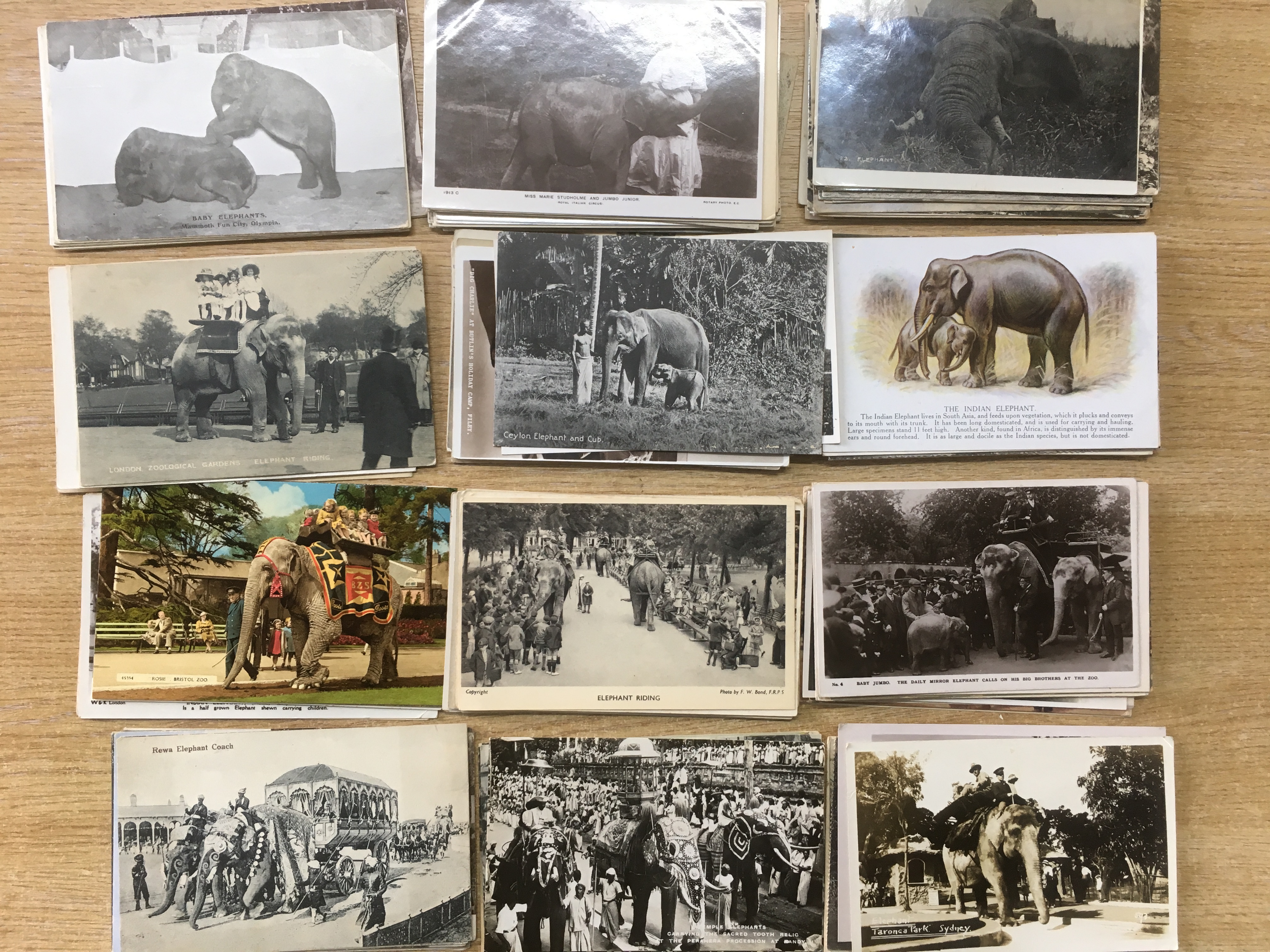 A COLLECTION OF POSTCARDS DEPICTING ELEPHANTS, ZOO RIDES, INDIA, CEYLON, ETC. (APPROX.