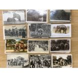 A COLLECTION OF POSTCARDS DEPICTING ELEPHANTS, ZOO RIDES, INDIA, CEYLON, ETC. (APPROX.