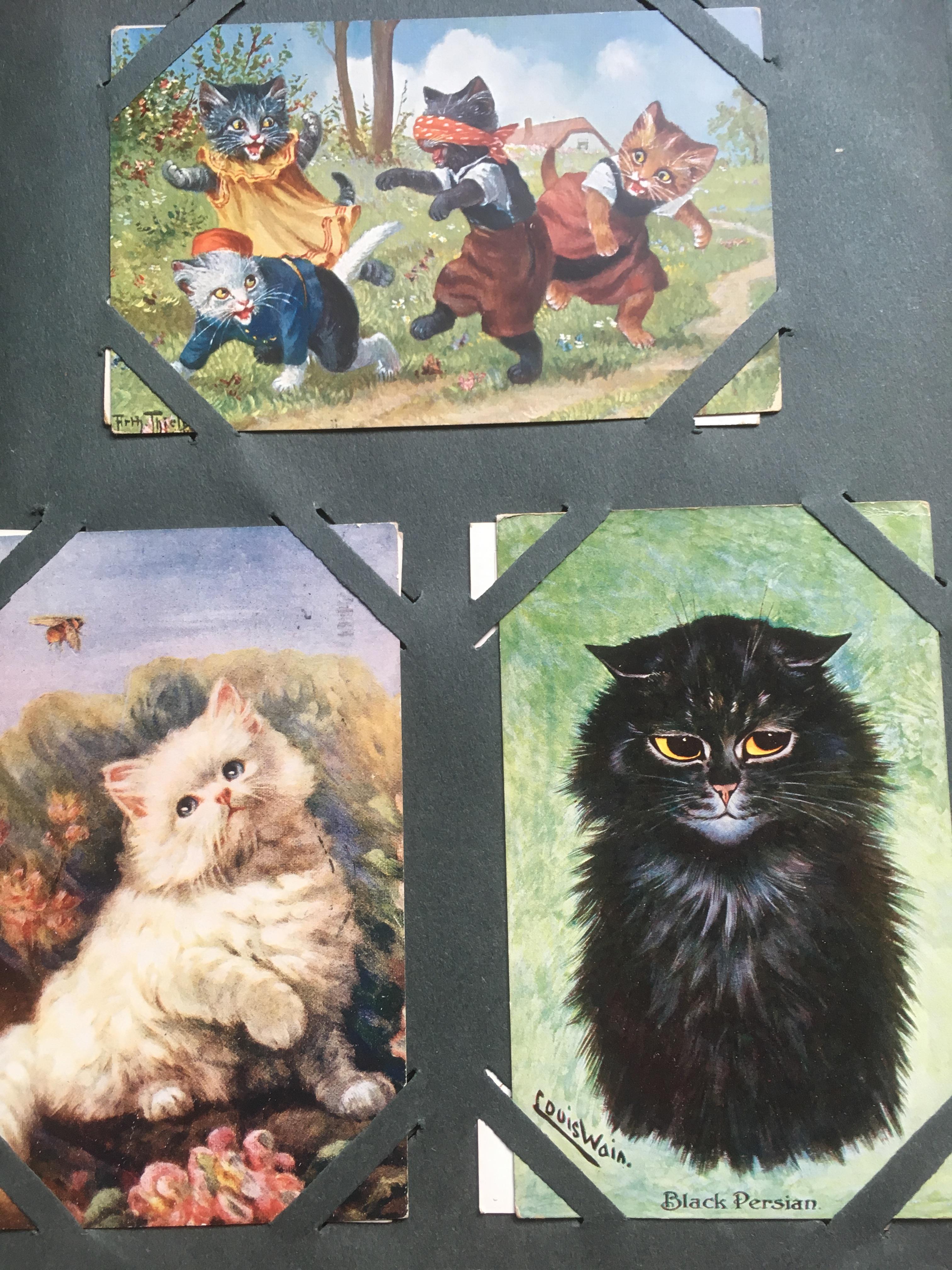 CORNER SLOT ALBUM MIXED SUBJECT POSTCARDS, LOUIS WAIN, ANTI HITLER, RURAL, HARRY PAYNE,