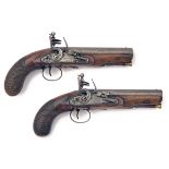A PAIR OF .650 FLINTLOCK HEAVY OVERCOAT-PISTOLS SIGNED NOCK, LONDON, no visible serial numbers,