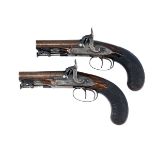 WESTLEY RICHARDS, LONDON A GOOD PAIR OF 25-BORE PERCUSSION DOUBLE-BARRELLED TRAVELLING PISTOLS,