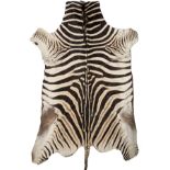 A FULL-MOUNT OF A ZEBRA (Equus quagga) SKIN, measuring approx. 82in. x 72in.