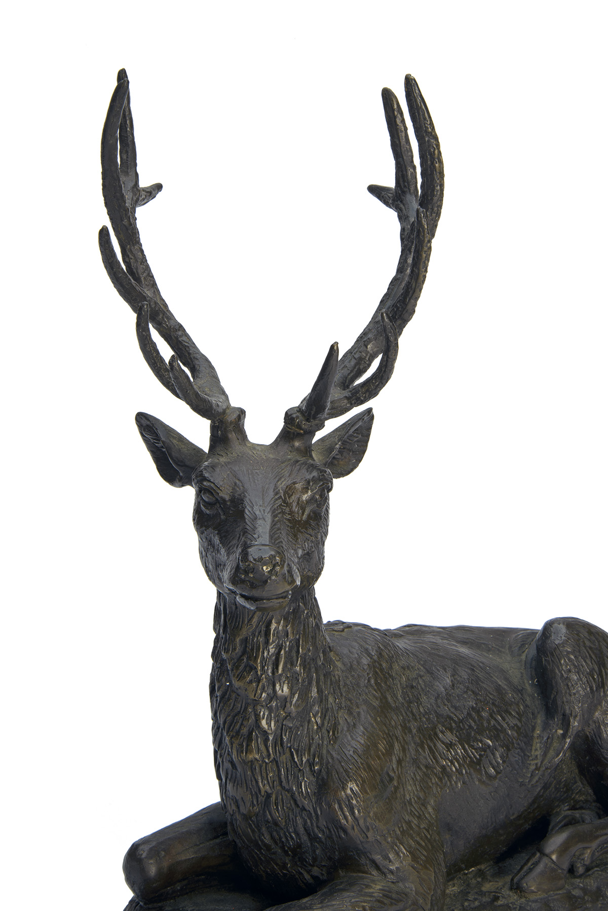 A BRONZE SCULPTURE OF A RESTING TWELVE-POINT STAG, mounted on a marble plinth, measuring approx. - Image 3 of 4