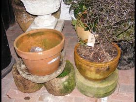 A terracotta pot with plant, together with concret