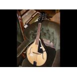 An Asheville 8 string mandolin