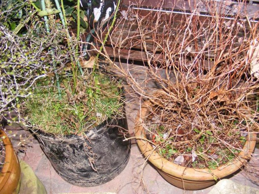 A glazed circular plant pot, together with a terra