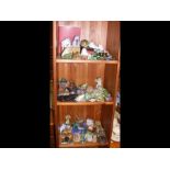 A medley of frog ornaments - on three shelves