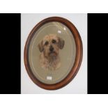MARY BROWNING - a pastel dog portrait 'Freddie' -