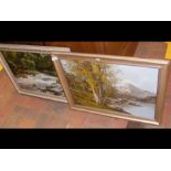 A pair of oil on canvas river and lake scene paintings