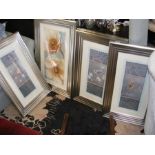 Five framed and glazed pictures in metallic finish