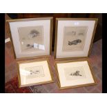 Four various prints, dog portraits after Cecil Ald