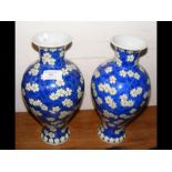 A pair of 30cm high Oriental vases