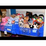 Two trays of Beanie Babies