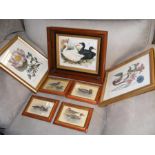 Coloured engravings of ducks and flowers