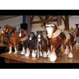 A selection of Shire Horse figures