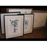 Three botanical prints, a modern oil painting, tog
