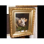 An oil on canvas of calf - 25cm x 20cm, signed