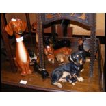 Assorted ceramic Dachshunds - Jena and other makes
