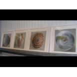 Four prints of seashells - framed and glazed
