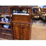 A Victorian fitted dentist cabinet with tambour fr