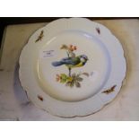 A hand painted Meissen cabinet plate with bird and