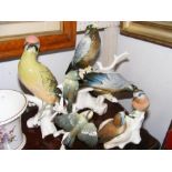 Four continental ceramic bird ornaments