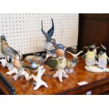 A large selection of ceramic birds etc.