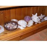 Various assorted shells