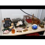 A collection of sea shells, stereo cards etc.