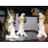 A trio of Karl Ens porcelain tropical birds